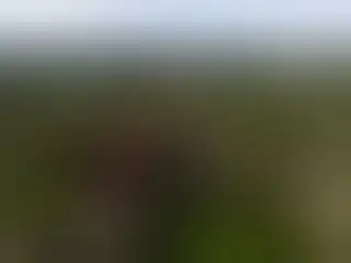 Bezpłatne badanie wzroku w Dłutowie – zapisy trwają