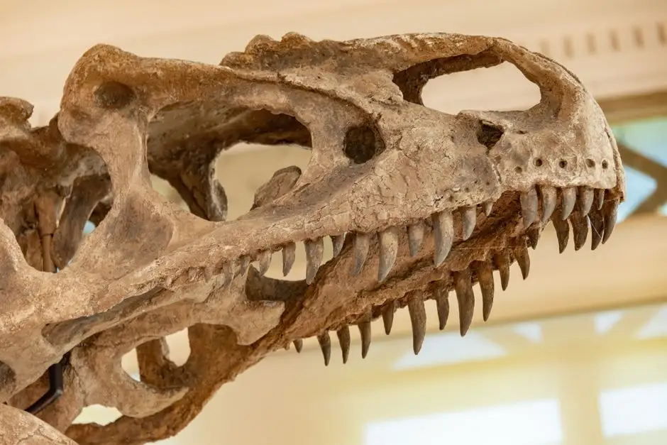 Paleowarsztaty w Pabianicach: Co jadły dinozaury?