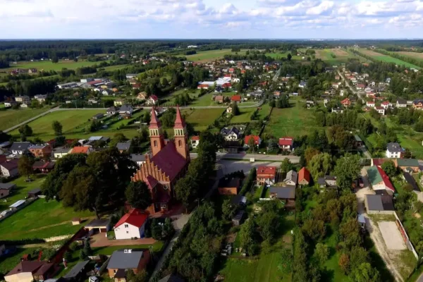 Konsultacje planów urządzenia lasu w gminie Dłutów – sprawdź swoją działkę