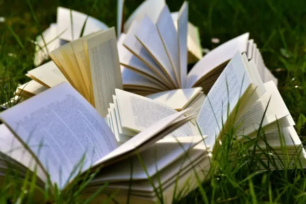 Wakacyjna lektura: Lucinda Riley w bibliotece w Konstantynowie Łódzkim