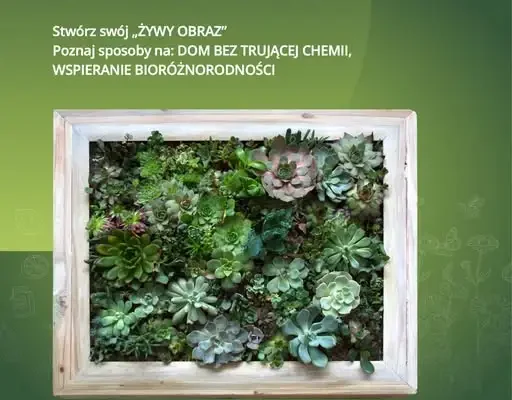 Bezpłatne spotkanie o ekologii w Ksawerowie – zapisy trwają do 11 września