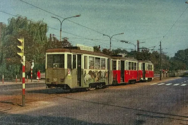 Dwa lwy azjatyckie urodziły się w łódzkim zoo