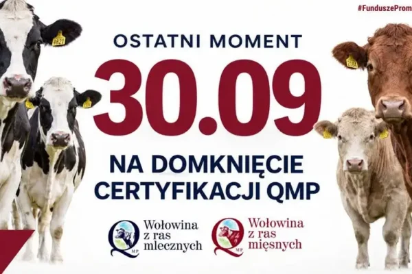 Certyfikat QMP — został tylko jeden dzień na jego uzyskanie