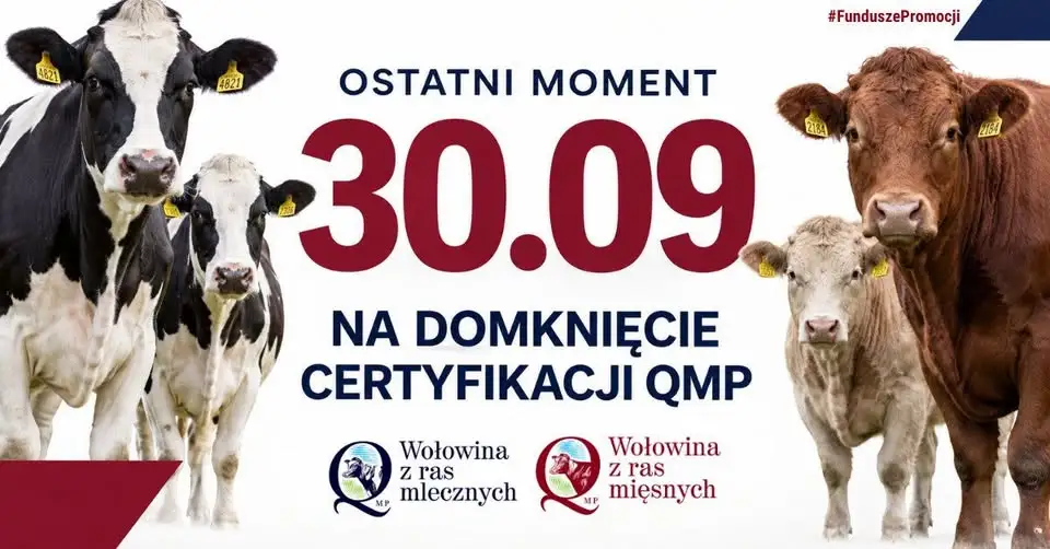 Certyfikat QMP — został tylko jeden dzień na jego uzyskanie