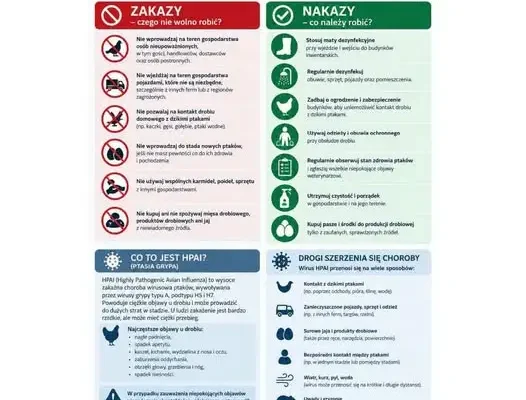 Bioasekuracja w hodowli drobiu – klucz do ochrony przed ptasią grypą