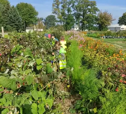 Przedszkolaki z Lutomierska odwiedziły Farmę Bergamutkę. Uczyły się o ekologii i wykopały marchewki