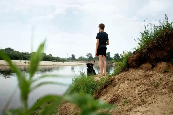 Znaleziono psa w rejonie rzeki Ner – szukamy właściciela