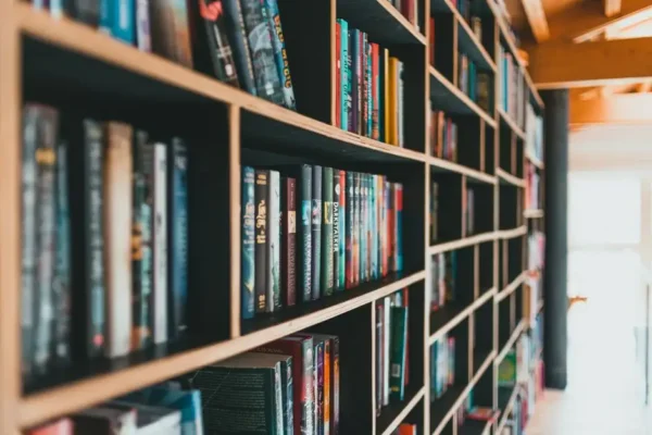 47 nowości wydawniczych w Bibliotece dla Dorosłych w Konstantynowie Łódzkim